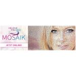 19-05-2014 - MCS_Marketing - Helene Fischer - banner.jpg